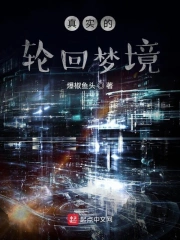 真实的轮回梦境