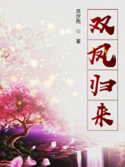双凤归来