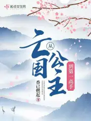 从亡国公主到第一高手